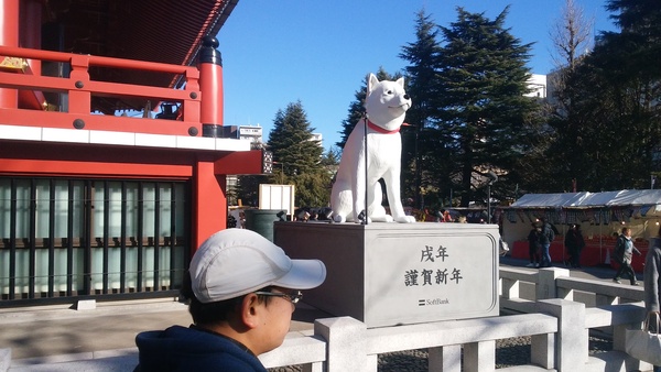IMG_20180103_095059.jpg